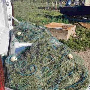 Акции на ИАРА