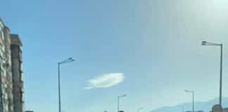 Кон в насрещното