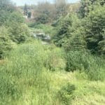 Коритото на река Ропотамо