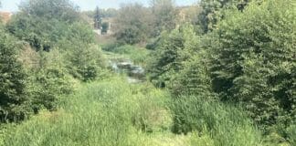 Коритото на река Ропотамо