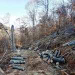 Незаконен път с незаконно-законно отсечената здрава гора