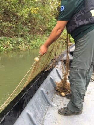 Проверка на остров Алеко