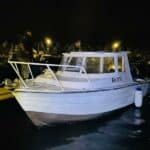 Проверка на пристанище Бяла