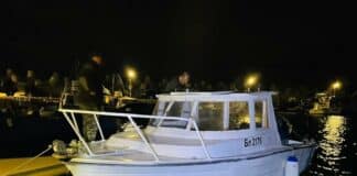 Проверка на пристанище Бяла