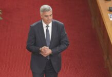 Стефан Янев