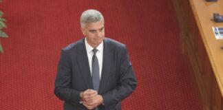 Стефан Янев