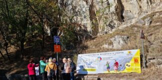 Световен ден на ходенето