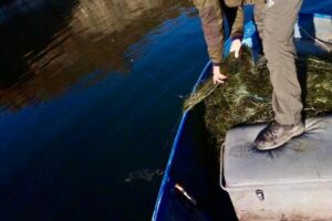 Акция на язовир "Студен кладенец"