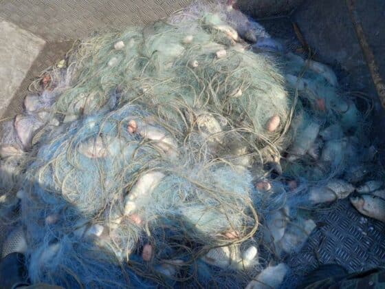 Акция в езерото "Вая"