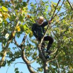 Дете, дърво