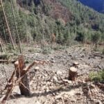 Едно от сечищата на "Експрес 79" в ДГС-Своге