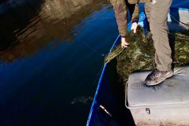 Акция на ИАРА