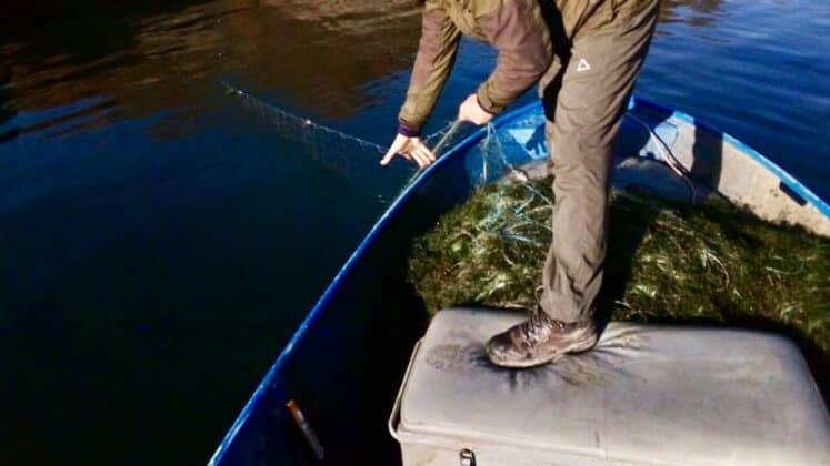 Акция на ИАРА