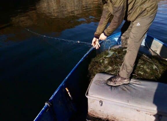 Акция на ИАРА