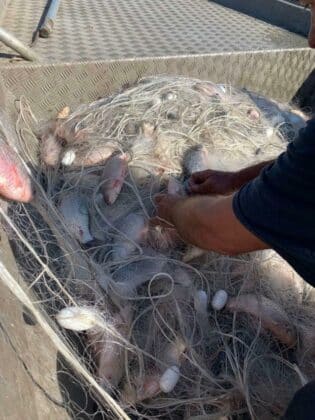 Акция на ИАРА