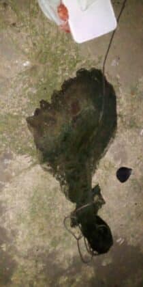 Акция на ИАРА