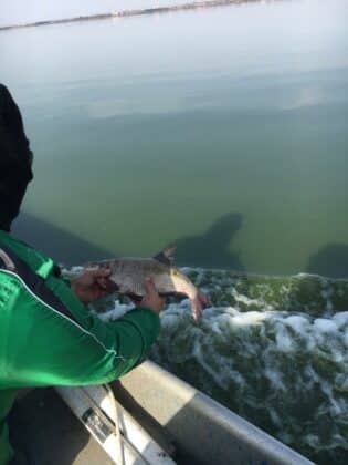 Акция на ИАРА