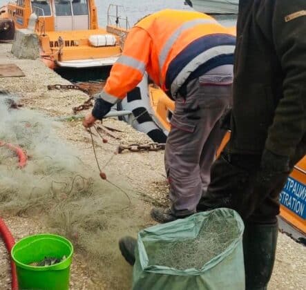 Акция на ИАРА