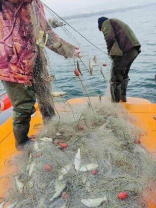 Акция на ИАРА