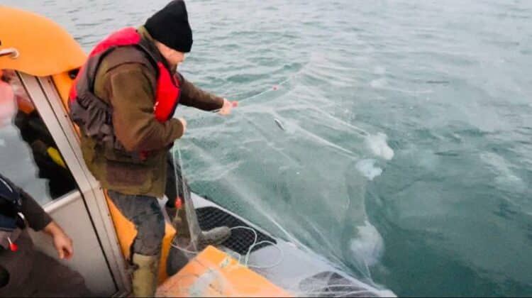 Акция на ИАРА