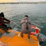 Акция на ИАРА