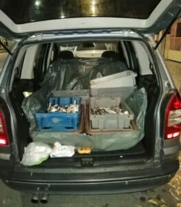 Акция на ИАРА