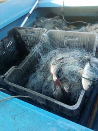 Акция на ИАРА