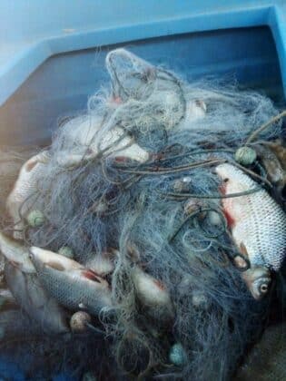 Акция на ИАРА