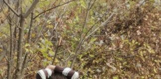 Изчезналият Александър