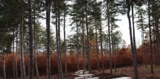 Кът за отдих "Кенана"