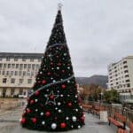 Коледна елха. Снимка: Община Асеновград