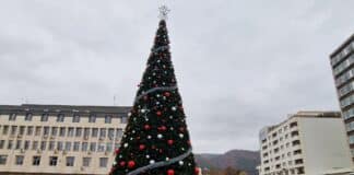 Коледна елха. Снимка: Община Асеновград