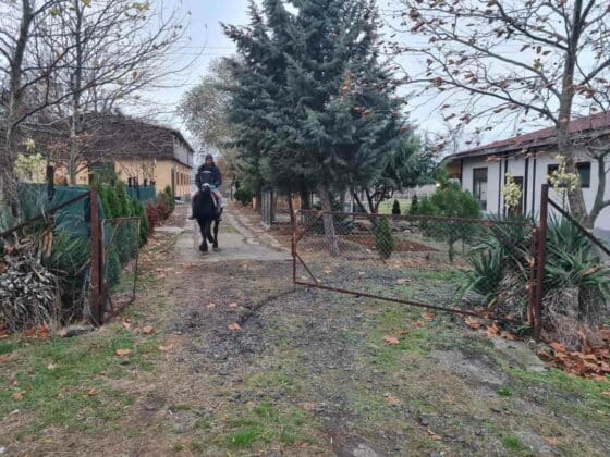 Издирване с коне