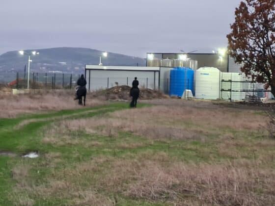 Издирване с коне