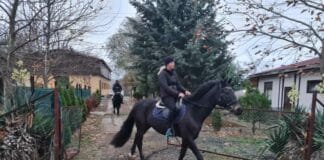 Издирване с коне