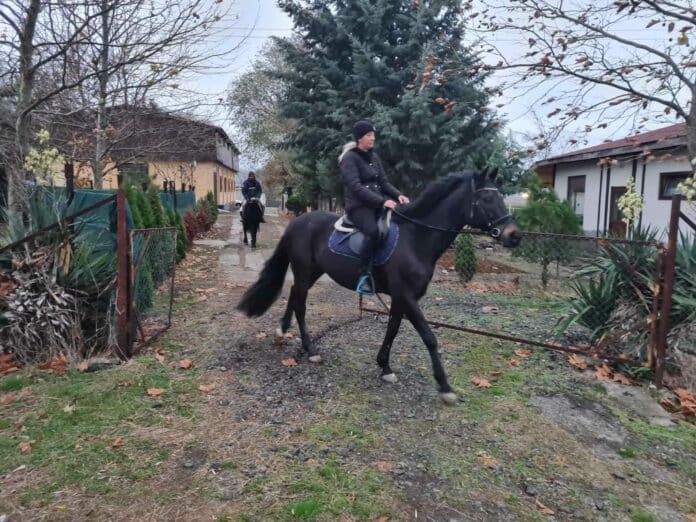 Издирване с коне