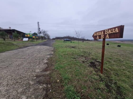 Издирване с коне