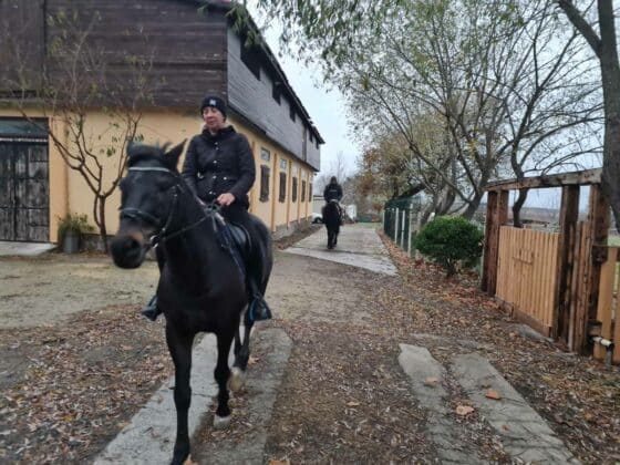 Издирване с коне