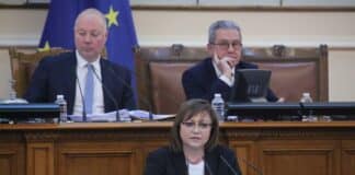 Корнелия Нинова