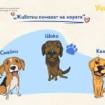 Кучета терапевти