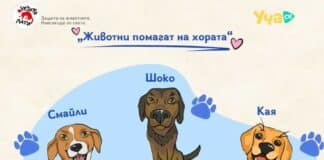 Кучета терапевти