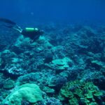 Морски свят.