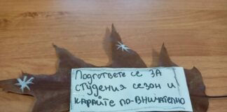 МВР, полиция