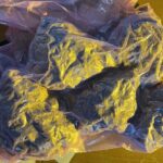 Наркооранжерия