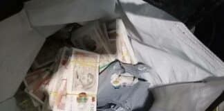 Валута, пари