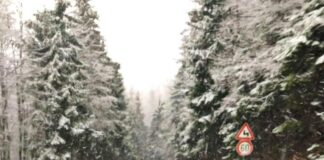 Петрохански проход