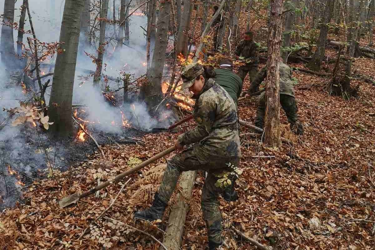 Настъпва пролетния летният сезон в който температурите рязко се покачват а