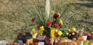 Празник в Община Кубрат