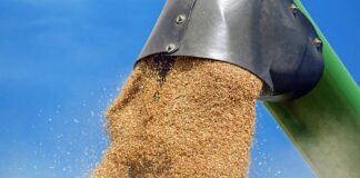 Обработване на пшеница.