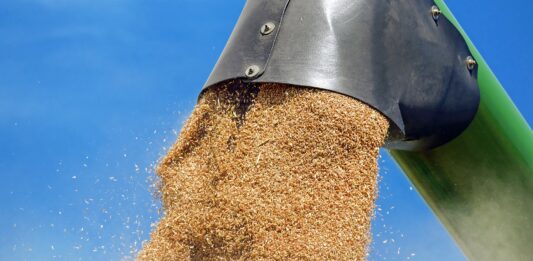 Обработване на пшеница.